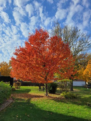 1007 N Howard Street, Indianola, IA 50125