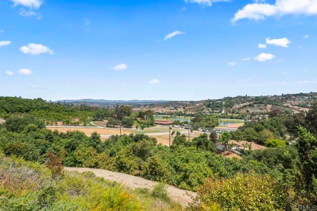 30002 Via Maria Elena, Bonsall, CA 92003