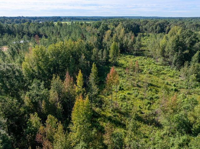 00 Purvis to Baxterville Rd., Purvis, MS 39475