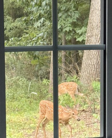 8035 Hidden Shores Drive, Fenton, MI 48430