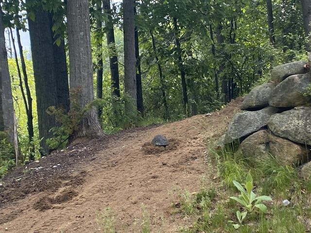 8035 Hidden Shores Drive, Fenton, MI 48430