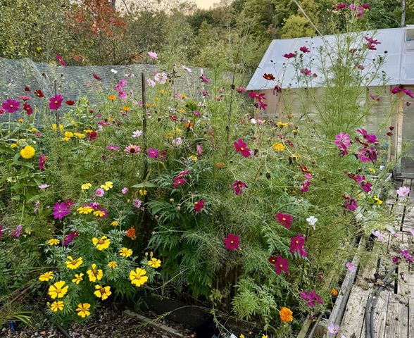 8035 Hidden Shores Drive, Fenton, MI 48430