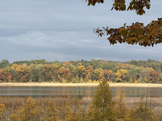 8035 Hidden Shores Drive, Fenton, MI 48430