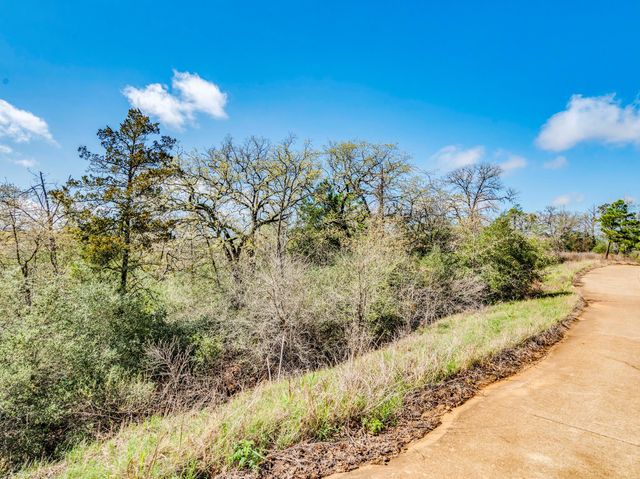 119 & 123 McCarthy DR, Bastrop, TX 78602