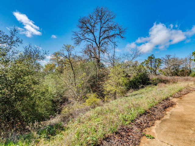 119 & 123 McCarthy DR, Bastrop, TX 78602