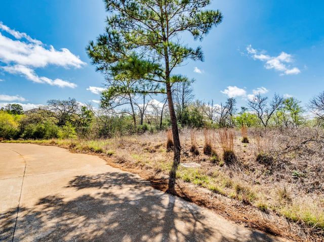 119 & 123 McCarthy DR, Bastrop, TX 78602