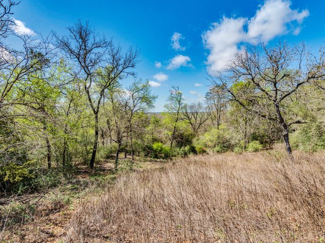 119 & 123 McCarthy DR, Bastrop, TX 78602