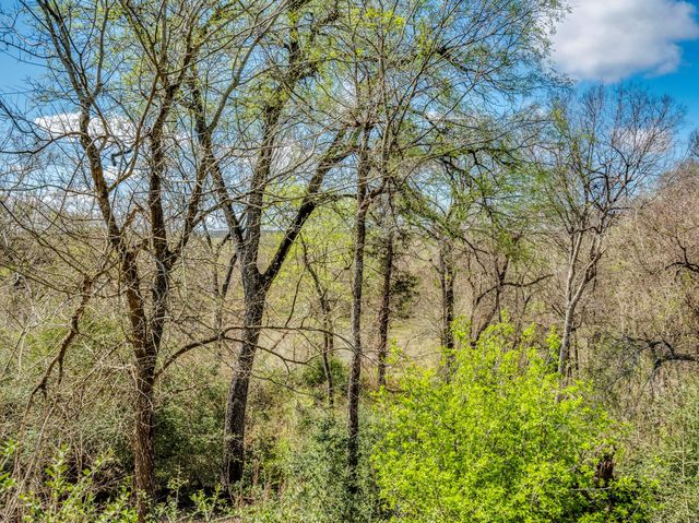 119 & 123 McCarthy DR, Bastrop, TX 78602