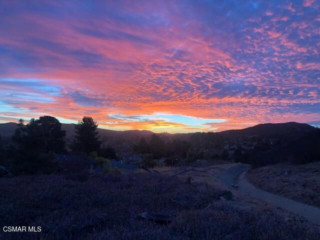 797 Boxthorn Avenue, Newbury Park, CA 91320