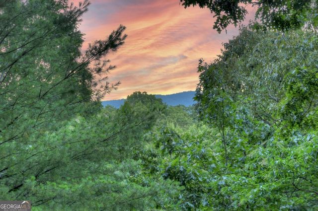 97 Doyle Carder Parkway, Cherry Log, GA 30522