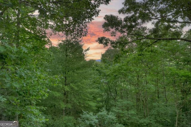 97 Doyle Carder Parkway, Cherry Log, GA 30522