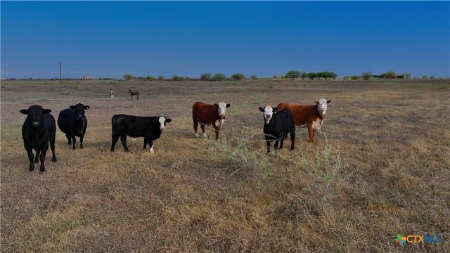 1891 Dworaczyk Road, Yorktown, TX 78164