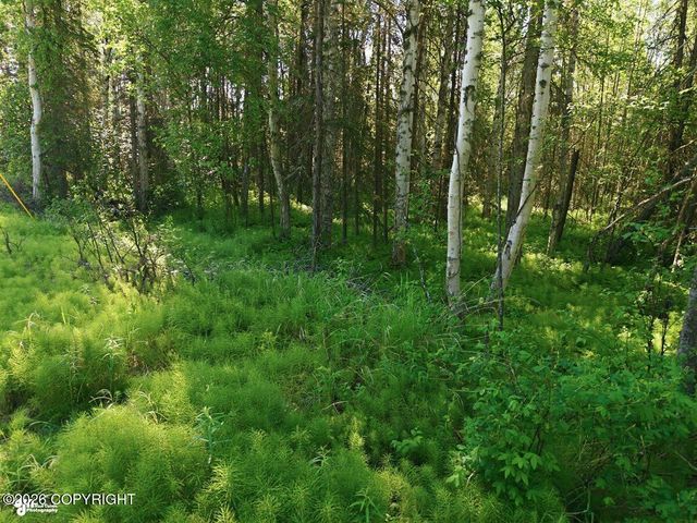 6250 W Karen Street, Wasilla, AK 99623