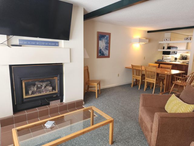 261 Village Green Dr Unit 10E, Stowe, VT 05672