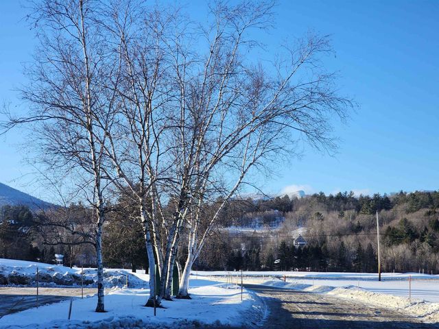 261 Village Green Dr Unit 10E, Stowe, VT 05672