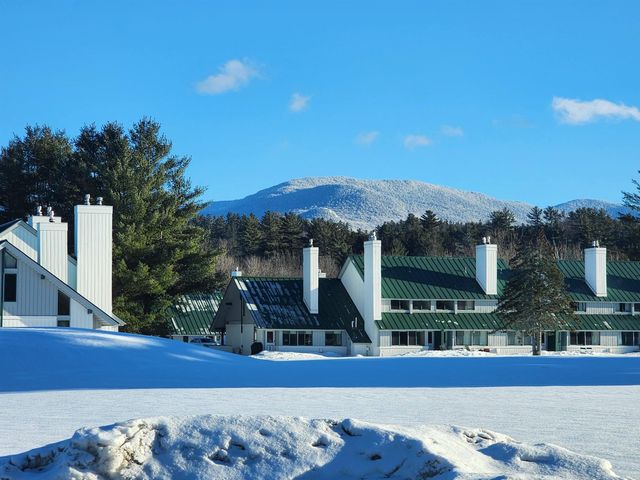 261 Village Green Dr Unit 10E, Stowe, VT 05672