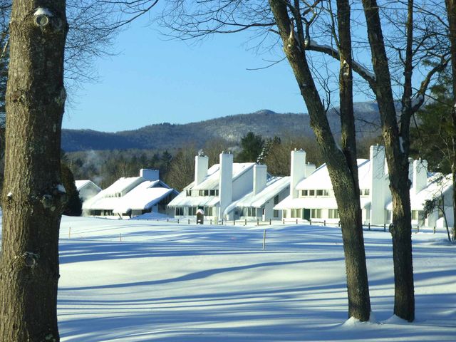 261 Village Green Dr Unit 10E, Stowe, VT 05672