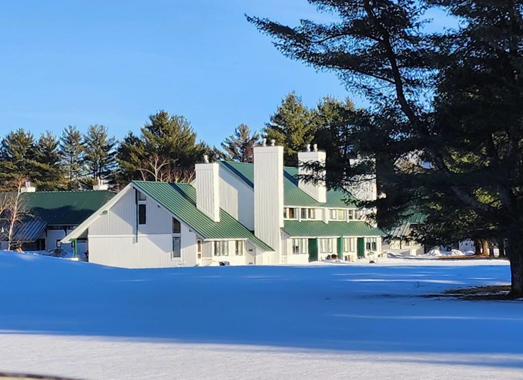 261 Village Green Dr Unit 10E, Stowe, VT 05672