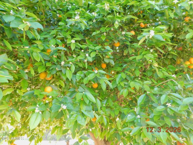 13606 N REDWOOD Drive, Sun City, AZ 85351