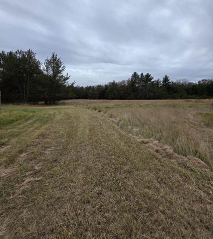 1159 Dover Drive, Adams, WI 53910