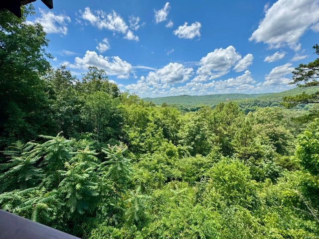 22 Sylamore Vista, Mountain View, AR 72556