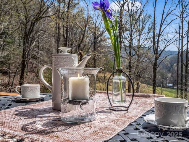 107 Twisted Birch Drive, Hendersonville, NC 28792