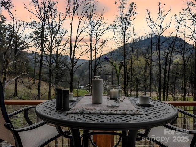 107 Twisted Birch Drive, Hendersonville, NC 28792