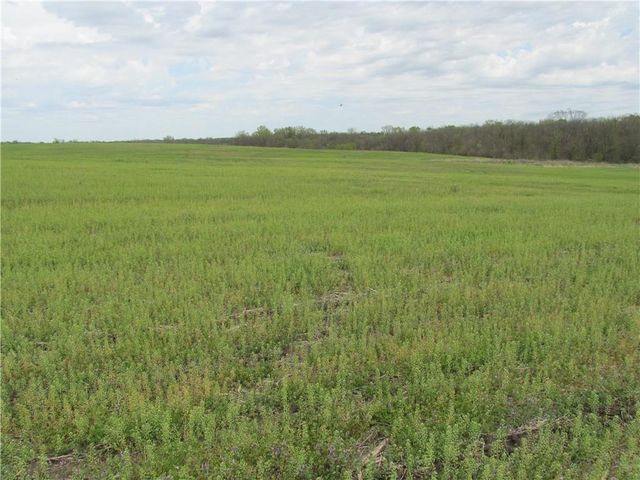 NE Hinchey Lane, Lathrop, MO 64465