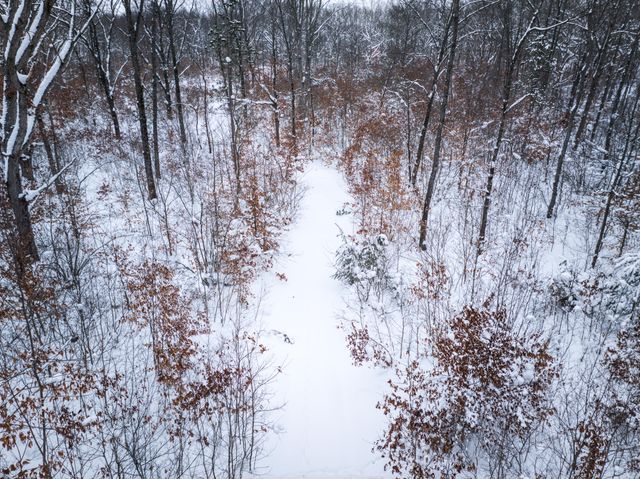 1518 E Wilke Road, Rothbury, MI 49452