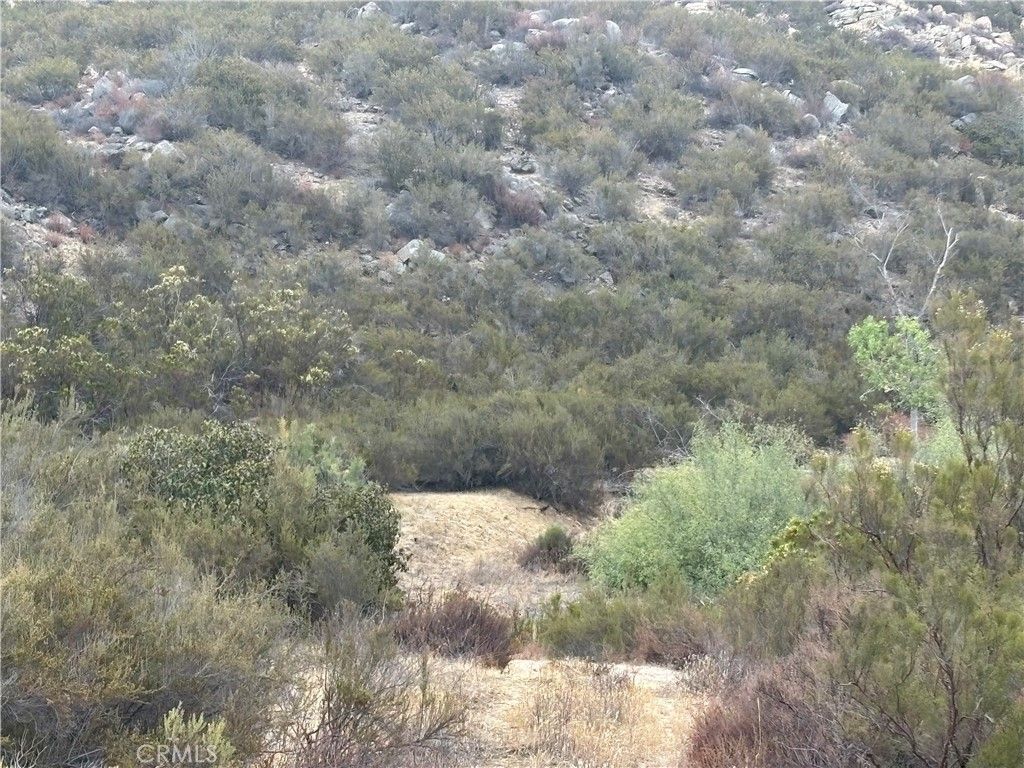 8 Wiley Road, Hemet, CA 92544 — photo 3