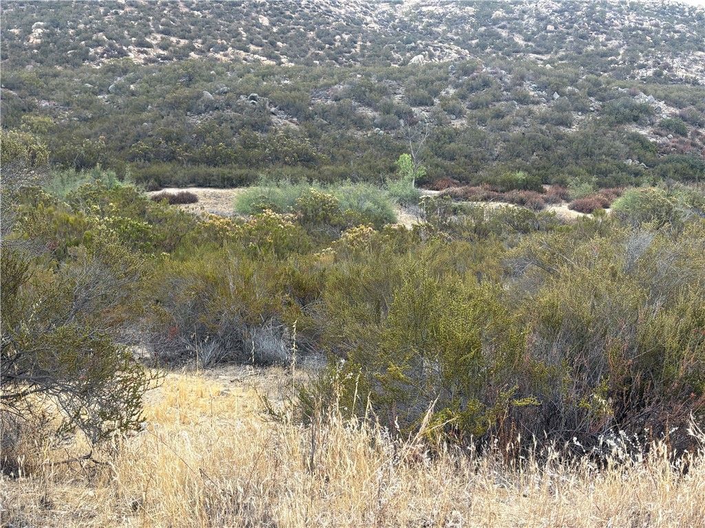8 Wiley Road, Hemet, CA 92544 — photo 5