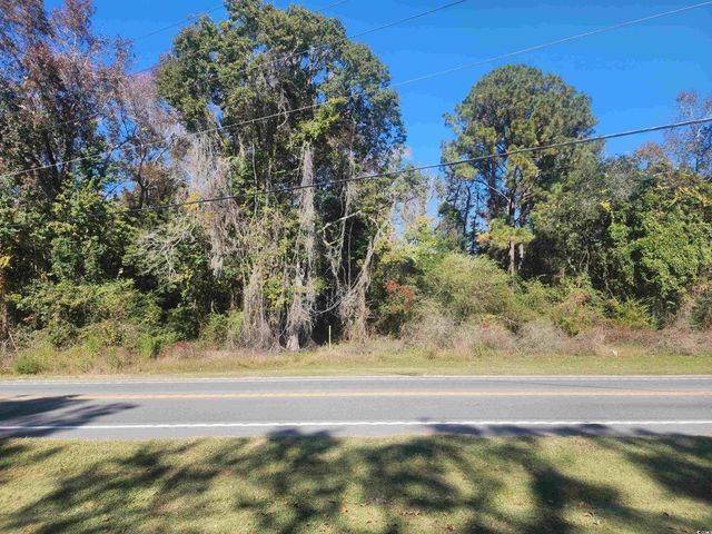 TBD81 Highway 90, Longs, SC 29568