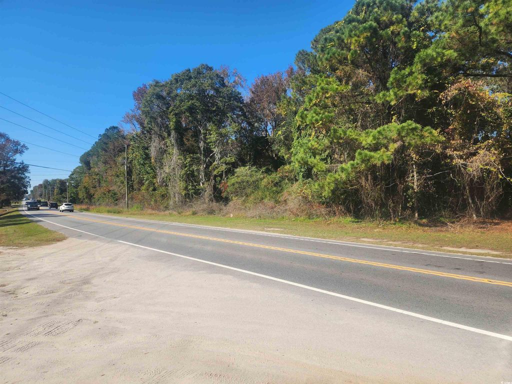 TBD81 Highway 90, Longs, SC 29568