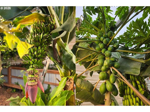 421 WOODLAND HEIGHTS Rd, Woodland, WA 98674