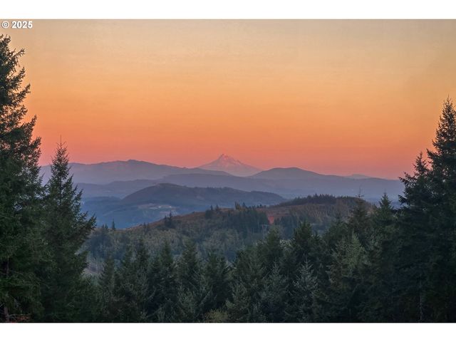 421 WOODLAND HEIGHTS Rd, Woodland, WA 98674