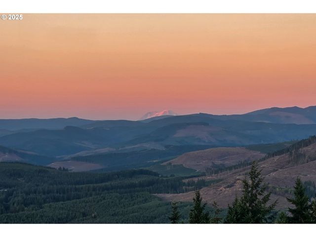 421 WOODLAND HEIGHTS Rd, Woodland, WA 98674