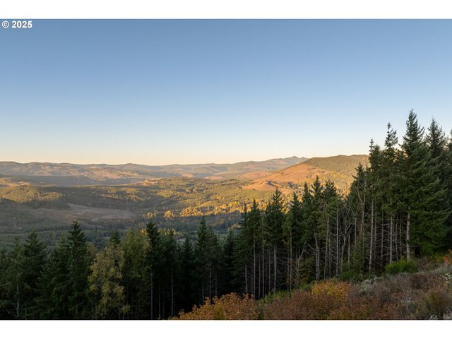 421 WOODLAND HEIGHTS Rd, Woodland, WA 98674