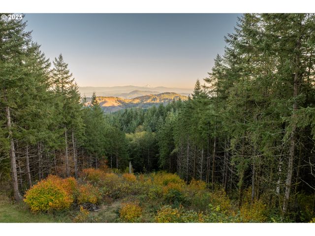 421 WOODLAND HEIGHTS Rd, Woodland, WA 98674