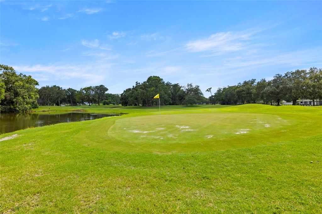 Image 40 of property listing at 11722 N EDISON AVENUE, Tampa, FL 33612