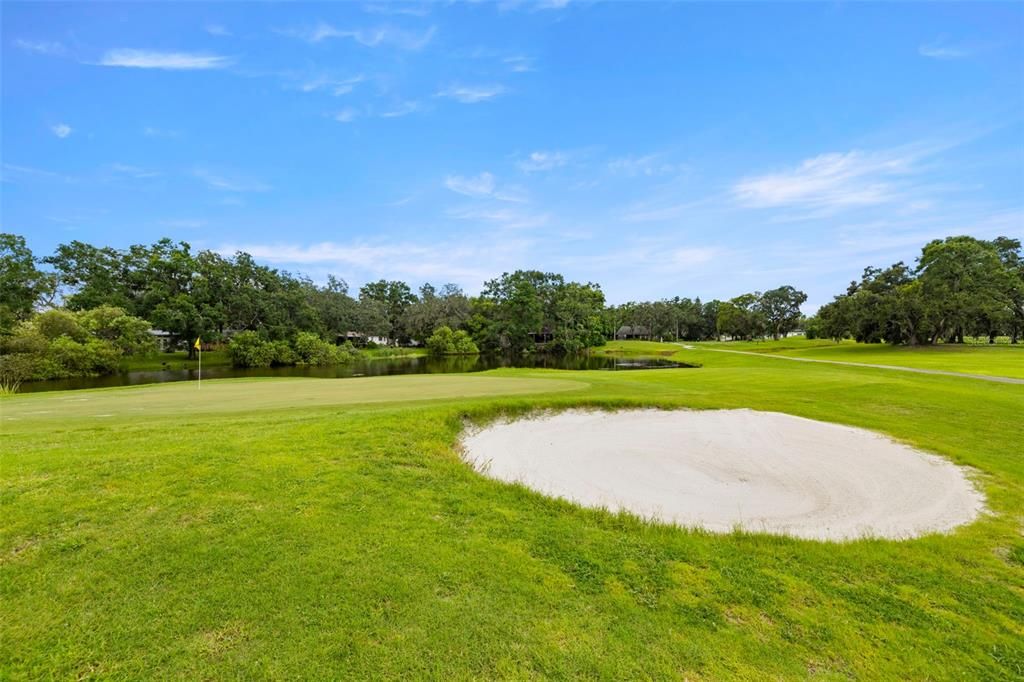 Image 41 of property listing at 11722 N EDISON AVENUE, Tampa, FL 33612