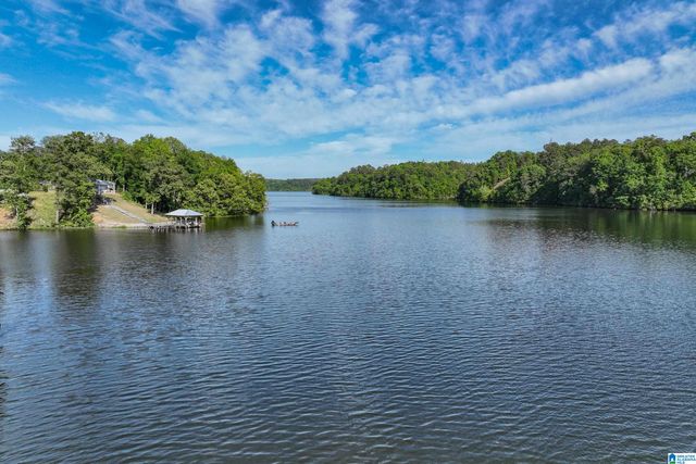 389 RIDGE DRIVE, Shelby, AL 35143