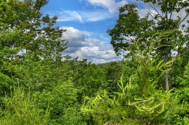 1178 Green Ridge Road, Blue Ridge, GA 30513