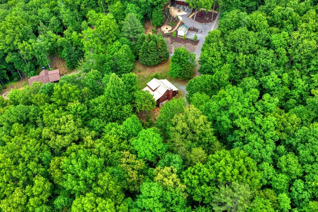 1178 Green Ridge Road, Blue Ridge, GA 30513
