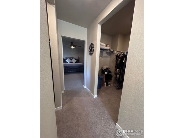 1202 Coyote Ln, Wiggins, CO 80654
