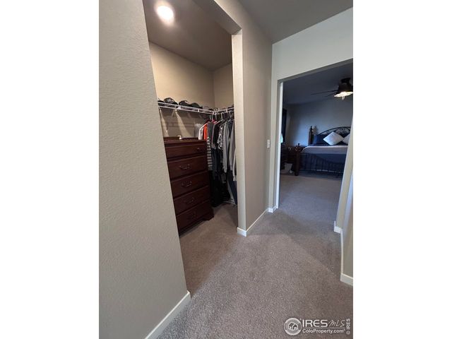 1202 Coyote Ln, Wiggins, CO 80654