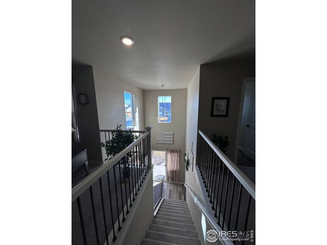 1202 Coyote Ln, Wiggins, CO 80654