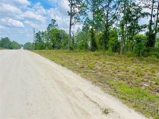 0000 NE 132 TERRACE TERRACE, Williston, FL 32696
