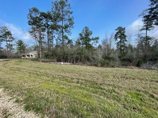 122 Signal Road, New Waverly, TX 77358