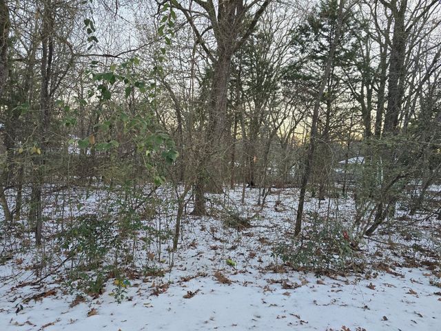 Lot 753 Doe Run Road, Gun Barrel City, TX 75156