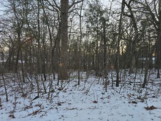 Lot 753 Doe Run Road, Gun Barrel City, TX 75156